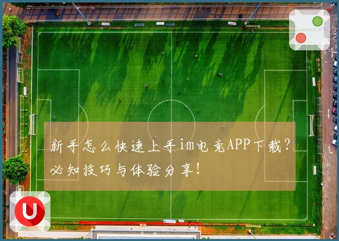 新手怎么快速上手im电竞APP下载？必知技巧与体验分享！