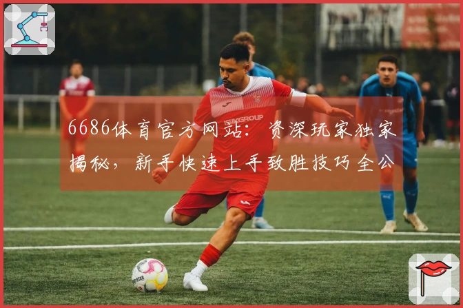 6686体育官方网站：资深玩家独家揭秘，新手快速上手致胜技巧全公开