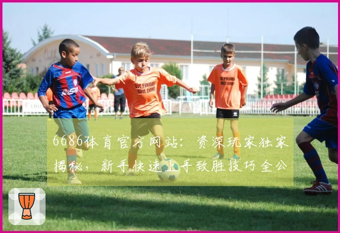 6686体育官方网站：资深玩家独家揭秘，新手快速上手致胜技巧全公开