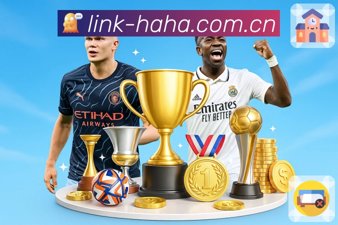 数据展示优化认证